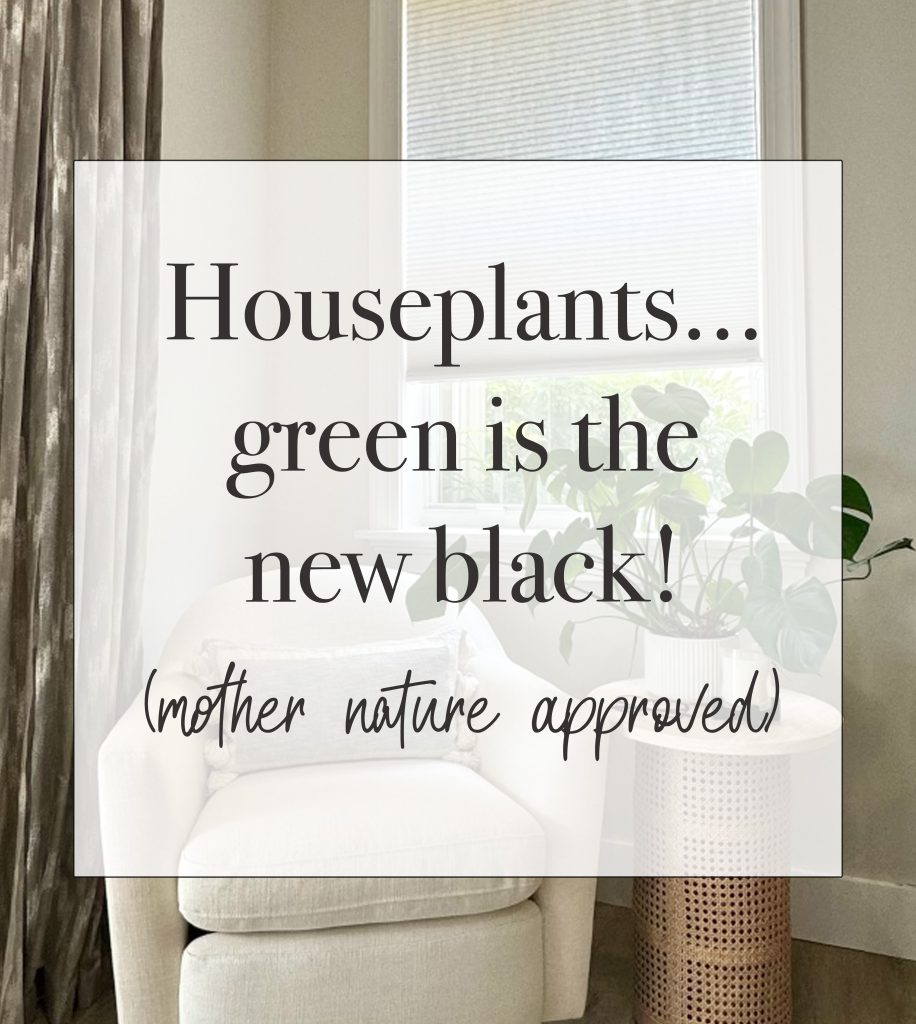Jess’ Top Five House Plants: Elevate Your Home Decor Naturally
