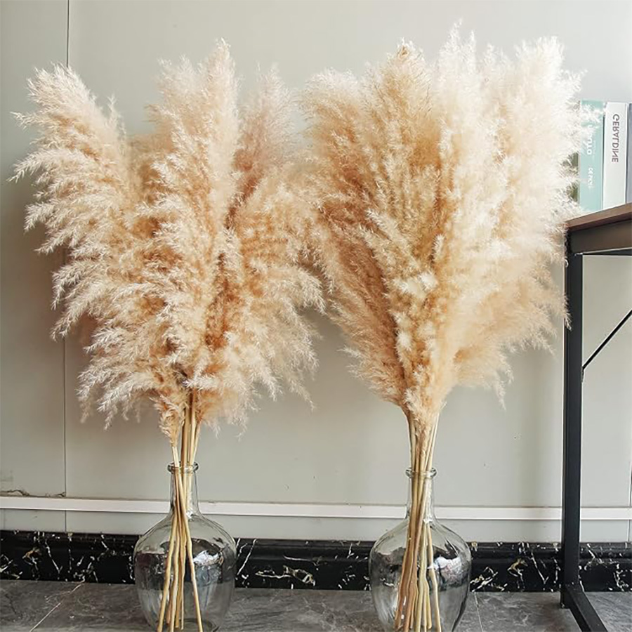 Create Effortless Elegance with 40″ Tall Natural Pampas Grass